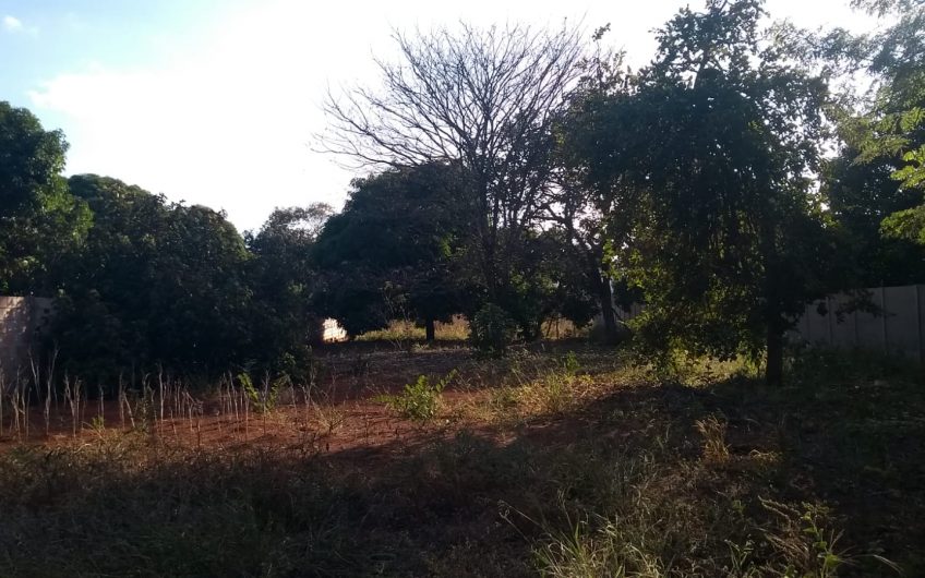 CHÁCARA GOIABEIRAS – REF.: 194